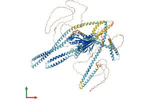 AlphaFold protein structure predicition of Human Recombinant KIF7 Protein, UniprotID Q2M1P5 (KIF7 Protein (AA 1-1343) (His tag))