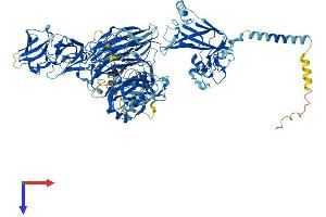 Cation Channel, Sperm-Associated, beta (CATSPERB) (AA 1-1116) protein (His tag)