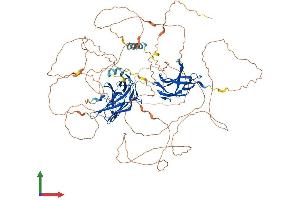 Protein Structure (PS) image for Nuclear Factor of Activated T-Cells, Cytoplasmic, Calcineurin-Dependent 2 (NFAT1) (AA 1-927) protein (His tag) (ABIN7563863)