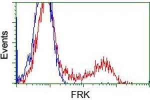 HEK293T cells transfected with either pCMV6-ENTRY FRK (RC204460) (Red) or empty vector control plasmid (Blue) were immunostained with anti-FRK mouse monoclonal (ABIN2452598, Dilution 1:1,000), and then analyzed by flow cytometry. (FRK antibody)