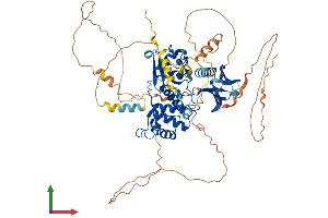 Protein Structure (PS) image for erythrocyte Membrane Protein Band 4.1 Like 4A (EPB41L4A) (AA 1-686) protein (His tag) (ABIN7547303)