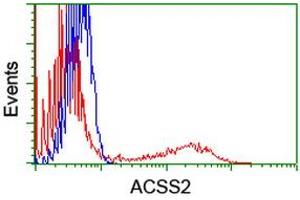 Image no. 1 for anti-Acyl-CoA Synthetase Short-Chain Family Member 2 (ACSS2) antibody (ABIN1496426) (ACSS2 antibody)