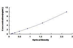 Chemokine (C-X-C Motif) Receptor 6 (CXCR6) ELISA Kit