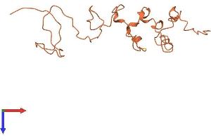 AlphaFold protein structure predicition of Human Recombinant KRTAP5-9 Protein, UniprotID P26371 (KRTAP5-3 Protein (AA 1-169) (His tag))