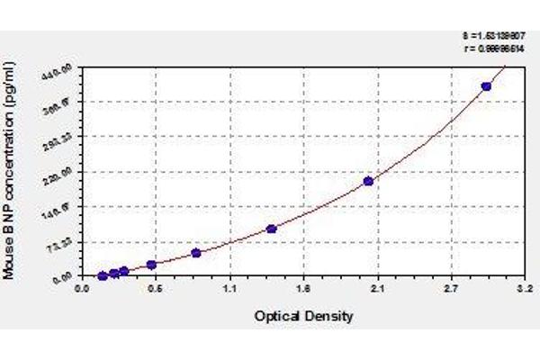 NPPB ELISA Kit