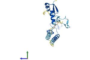 AlphaFold protein structure predicition of Human Recombinant ZMAT5 Protein, UniprotID Q9UDW3