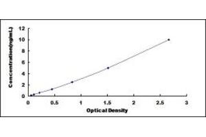 Typical standard curve (NID2 ELISA Kit)