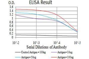 Black line: Control Antigen (100 ng),Purple line: Antigen (10 ng), Blue line: Antigen (50 ng), Red line:Antigen (100 ng) (CIRBP antibody  (AA 1-90))