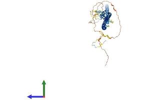 Protein Structure (PS) image for Basic Leucine Zipper Nuclear Factor 1 (BLZF1) (AA 1-403) protein (His tag) (ABIN7559713)