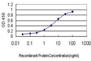 Detection limit for recombinant GST tagged FBXO22 is approximately 0. (FBXO22 antibody  (AA 1-299))