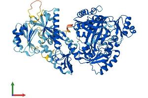 AlphaFold protein structure predicition of Human Recombinant CARNS1 Protein, UniprotID A5YM72 (CARNS1 Protein (AA 1-827) (His tag))