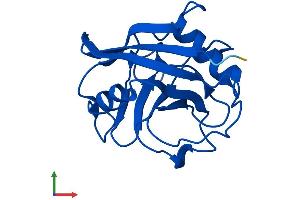 AlphaFold protein structure predicition of Human Recombinant PPIAL4D Protein, UniprotID F5H284 (PPIAL4D Protein (AA 1-164) (His tag))