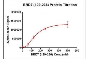 Recombinant BRD7 (129-236) activity using AlphaScreen. (BRD7 Protein (AA 129-236) (His tag,DYKDDDDK Tag))