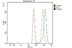 Flow Cytometry analysis of U87 cells using anti-TXNDC5 antibody (ABIN7599699). (TXNDC5 antibody  (AA 109-403))