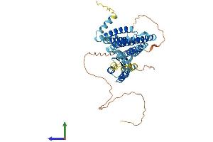 AlphaFold protein structure predicition of Human Recombinant SLC30A6 Protein, UniprotID Q6NXT4 (SLC30A6 Protein (AA 1-461) (His tag))