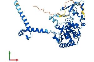 Protein Structure (PS) image for Sirtuin 7 (SIRT7) (AA 1-402) protein (His tag) (ABIN7564378)