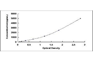 Typical standard curve (SOD1 ELISA Kit)