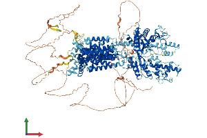 AlphaFold protein structure predicition of Human Recombinant PTCH1 Protein, UniprotID Q13635
