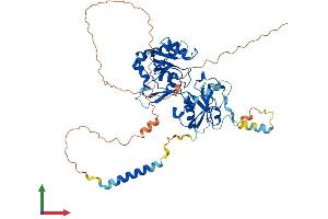 AlphaFold protein structure predicition of Human Recombinant FUT4 Protein, UniprotID P22083
