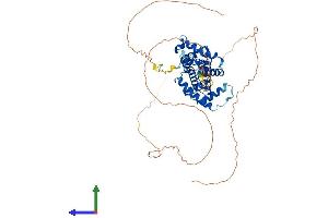 AlphaFold protein structure predicition of Human Recombinant CCNL1 Protein, UniprotID Q9UK58