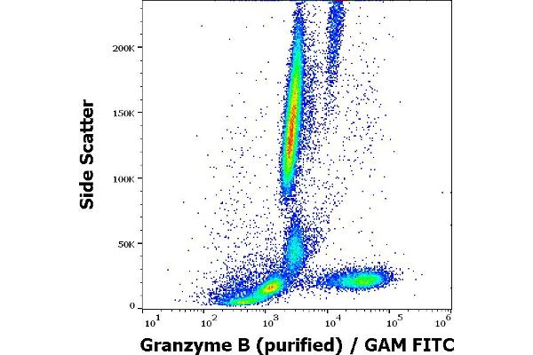 GZMB antibody