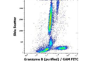 Flow cytometry intracellular staining pattern of human peripheral whole blood stained using anti-human Granzyme B (CLB-GB11) purified antibody (concentration in sample 3 μg/mL, GAM FITC).