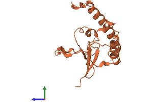 AlphaFold protein structure predicition of Human Recombinant ADARB2-AS1 Protein, UniprotID A8MUL3 (ADARB2-AS1 Protein (AA 1-147) (His tag))