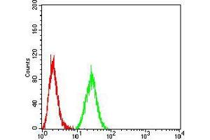 Flow cytometric analysis of HeLa cells using AOF1 mouse mAb (green) and negative control (red). (KDM1B antibody  (AA 6-129))