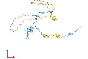 AlphaFold protein structure predicition of Human Recombinant PTTG3P Protein, UniprotID Q9NZH4 (PTTG3P Protein (AA 1-202) (His tag))