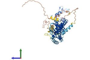 Protein Structure (PS) image for CHMP Family, Member 7 (CHMP7) (AA 1-451) protein (His tag) (ABIN7559683)