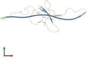 AlphaFold protein structure predicition of Human Recombinant CAGE1 Protein, UniprotID Q8TC20 (CAGE1 Protein (AA 1-777) (His tag))