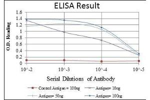 Red: Control Antigen (100 ng), Purple: Antigen (10 ng), Green: Antigen (50 ng), Blue: Antigen (100 ng), (KIF22 antibody)