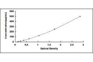 Typical standard curve (FOLR1 ELISA Kit)