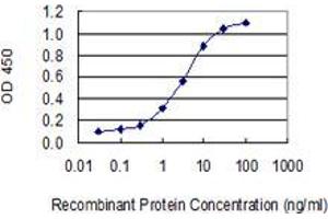 Detection limit for recombinant GST tagged PRH2 is 0. (PROC antibody  (AA 1-166))