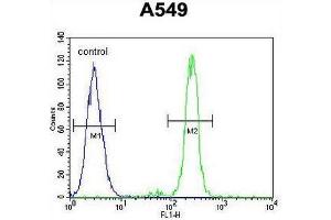 CEP70 Antibody (Center) flow cytometric analysis of A549 cells (right histogram) compared to a negative control cell (left histogram). (CEP70 antibody  (Middle Region))