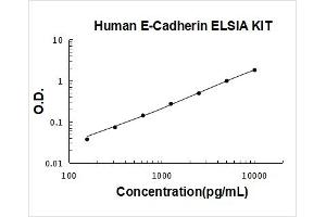 Cadherin 1, Type 1, E-Cadherin (Epithelial) (CDH1) ELISA Kit