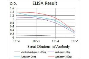 Red: Control Antigen (100ng) ; Purple: Antigen (10ng) ; Green: Antigen (50ng) ; Blue: Antigen (100ng). (T Antigen (AA 218-352) antibody)
