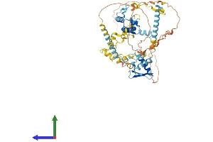 AlphaFold protein structure predicition of Mouse Recombinant Rec8 Protein, UniprotID Q8C5S7 (REC8 Protein (AA 1-591) (His tag))