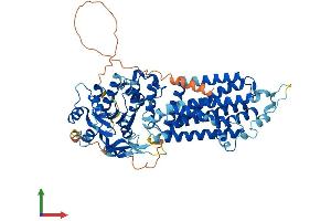 AlphaFold protein structure predicition of Mouse Recombinant Abcg1 Protein, UniprotID Q64343 (ABCG1 Protein (AA 1-666) (His tag))