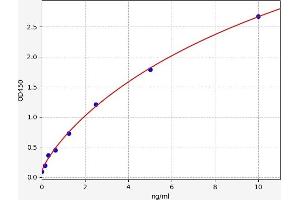 CYP1A1 ELISA Kit