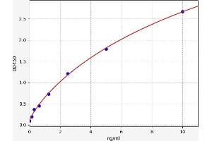 Typical standard curve (CYP1A1 ELISA Kit)