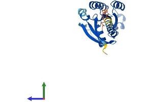 AlphaFold protein structure predicition of Human Recombinant RAB24 Protein, UniprotID Q969Q5