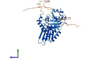 AlphaFold protein structure predicition of Human Recombinant RRAGB Protein, UniprotID Q5VZM2 (RRAGB Protein (AA 1-374) (His tag))
