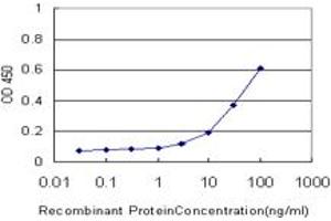 Detection limit for recombinant GST tagged NEUROG2 is approximately 3ng/ml as a capture antibody. (Neurogenin 2 antibody  (AA 36-112))