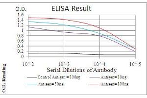 ELISA image for anti-Phospholipase C gamma 2 (PLCG2) (AA 826-985) antibody (ABIN5542312)