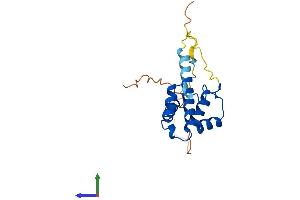 AlphaFold protein structure predicition of Human Recombinant PLAC8L1 Protein, UniprotID A1L4L8