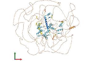 AlphaFold protein structure predicition of Mouse Recombinant Sall3 Protein, UniprotID Q62255 (SALL3 Protein (AA 1-1320) (His tag))