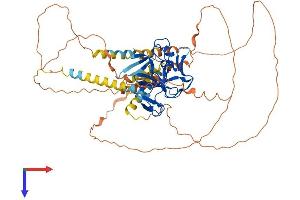 AlphaFold protein structure predicition of Mouse Recombinant Prdm11 Protein, UniprotID A2AGX3