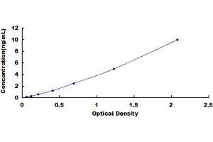 Typical standard curve (IRF5 ELISA Kit)