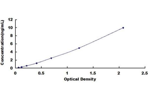 IRF5 ELISA Kit